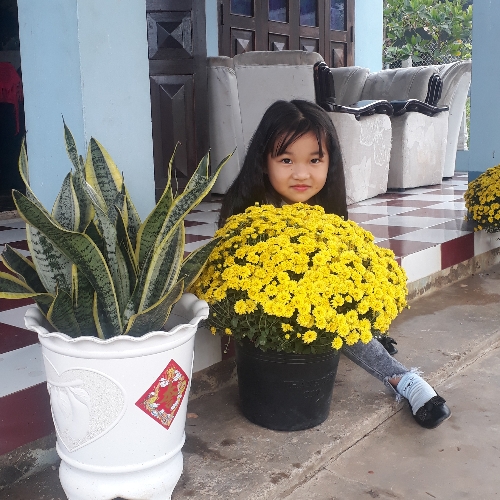 Nguyễn Thị Thu Trang Profile Picture