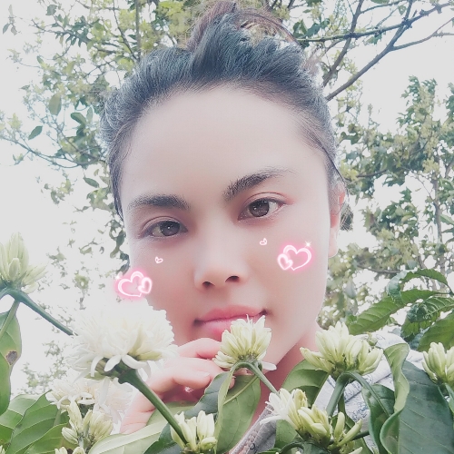 Ha Trần Profile Picture