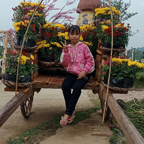 Vũ Huyền Trang Profile Picture