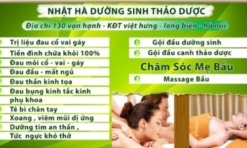 Vũ Việt Hà Cover Image