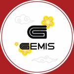GEMIS Profile Picture